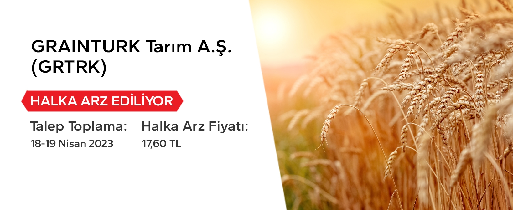 2022/alnus-grainturk-banner