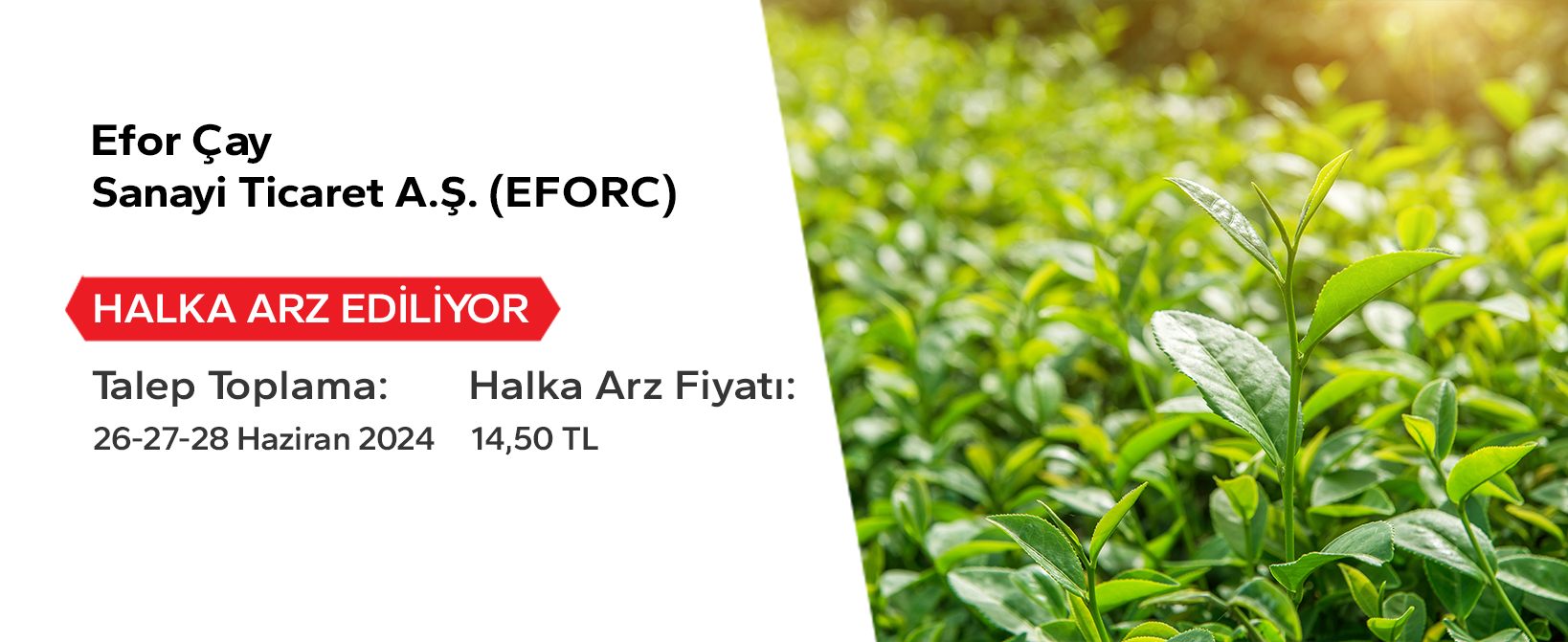 2024/efor-cay-sanayi-ticaret-as-eforc-halka-arz-banner