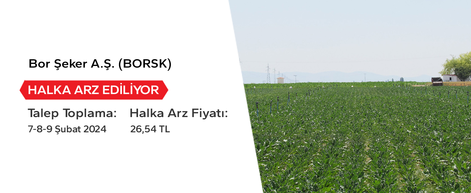 halka_arz/document/BorSeker/borsk