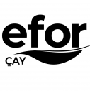 EFORC logo