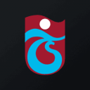 TSPOR logo